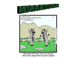 MIGRATION 