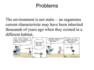Problems

The environment is not static - an organisms
current characteristic may have been inherited
thousands of years ago when they existed in a
different habitat.
 