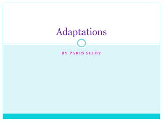 Adaptations

 BY PARIS SELBY
 
