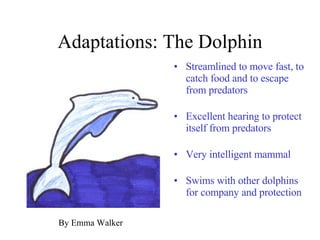 Adaptations: The Dolphin Streamlined to move fast, to catch food and to escape from predators Excellent hearing to protect itself from predators Very intelligent mammal Swims with other dolphins for company and protection By Emma Walker 