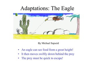 Adaptations: The Eagle An eagle can see food from a great height! It then moves swiftly down behind the prey The prey must be quick to escape! By Michael Sapseid 