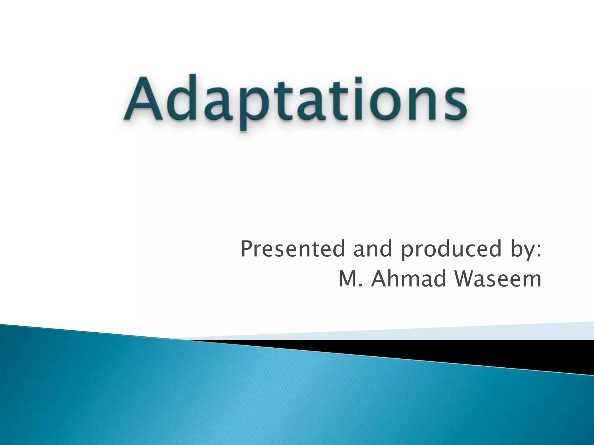 Adaptations of a roadrunner | PPT