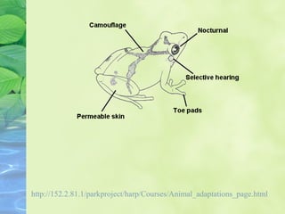 http://152.2.81.1/parkproject/harp/Courses/Animal_adaptations_page.html
 