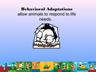 Behavioral Adaptations
allow animals to respond to life
needs.
 