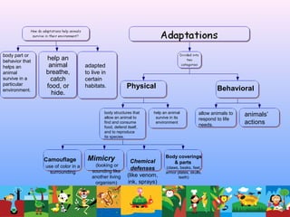 body part or
behavior that
helps an
animal
survive in a
particular
environment.
help an
animal
breathe,
catch
food, or
hide.
adapted
to live in
certain
habitats. Physical Behavioral
body structures that
allow an animal to
find and consume
food, defend itself,
and to reproduce
its species.
help an animal
survive in its
environment
Camouflage
use of color in a
surrounding
Mimicry
(looking or
sounding like
another living
organism)
Chemical
defenses
(like venom,
ink, sprays)
Body coverings
& parts
(claws, beaks, feet,
armor plates, skulls,
teeth)
allow animals to
respond to life
needs.
animals’
actions
 