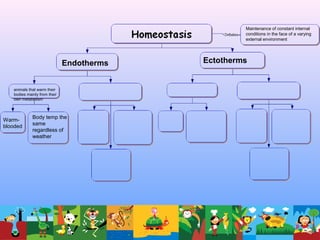 Maintenance of constant internal
conditions in the face of a varying
external environment
Endotherms Ectotherms
animals that warm their
bodies mainly from their
own metabolism
Warm-
blooded
Body temp the
same
regardless of
weather
 