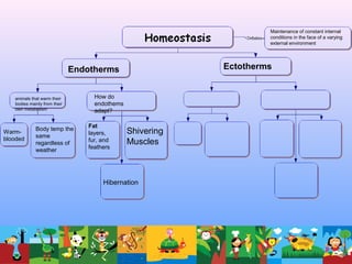 Maintenance of constant internal
conditions in the face of a varying
external environment
Endotherms Ectotherms
animals that warm their
bodies mainly from their
own metabolism
Warm-
blooded
Body temp the
same
regardless of
weather
How do
endothems
adapt?
Fat
layers,
fur, and
feathers
Shivering
Muscles
Hibernation
 