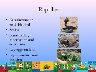 Reptiles
• Ectothermic or
cold- blooded
• Scales
• Some undergo
hibernation and
estivation
• Lay eggs on land
• Leg structure and
position
 