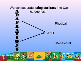 We can separate adaptations into two
categories:
Physical
AND
Behavioral
 