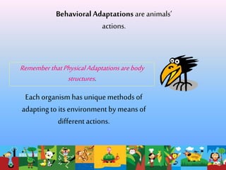 Adaptations | PPT