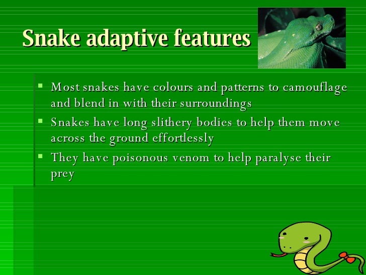 Adaptations In Animals Faulkner