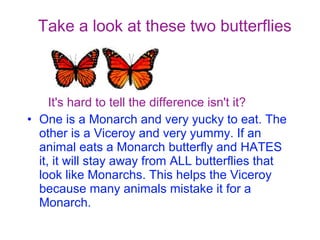 Take a look at these two butterflies

It's hard to tell the difference isn't it?
• One is a Monarch and very yucky to eat. The
other is a Viceroy and very yummy. If an
animal eats a Monarch butterfly and HATES
it, it will stay away from ALL butterflies that
look like Monarchs. This helps the Viceroy
because many animals mistake it for a
Monarch.

 
