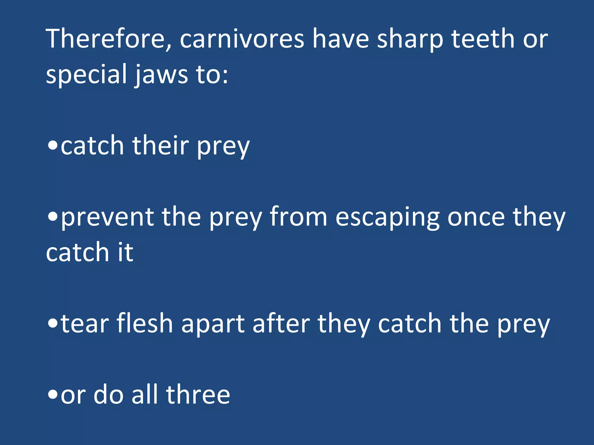 Therefore, carnivores have sharp teeth or special jaws to: • catch their prey • prevent the prey from escaping once they catch it • tear flesh apart after they catch the prey • or do all three 