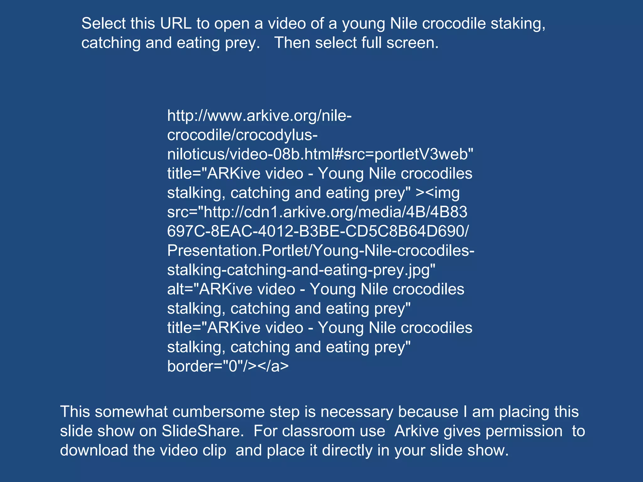 http://www.arkive.org/nile-crocodile/crocodylus-niloticus/video-08b.html#src=portletV3web" title="ARKive video - Young Nile crocodiles stalking, catching and eating prey" ><img src="http://cdn1.arkive.org/media/4B/4B83697C-8EAC-4012-B3BE-CD5C8B64D690/Presentation.Portlet/Young-Nile-crocodiles-stalking-catching-and-eating-prey.jpg" alt="ARKive video - Young Nile crocodiles stalking, catching and eating prey" title="ARKive video - Young Nile crocodiles stalking, catching and eating prey" border="0"/></a> This somewhat cumbersome step is necessary because I am placing this slide show on SlideShare.  For classroom use  Arkive gives permission  to download the video clip  and place it directly in your slide show. Select this URL to open a video of a young Nile crocodile staking, catching and eating prey.  Then select full screen. 