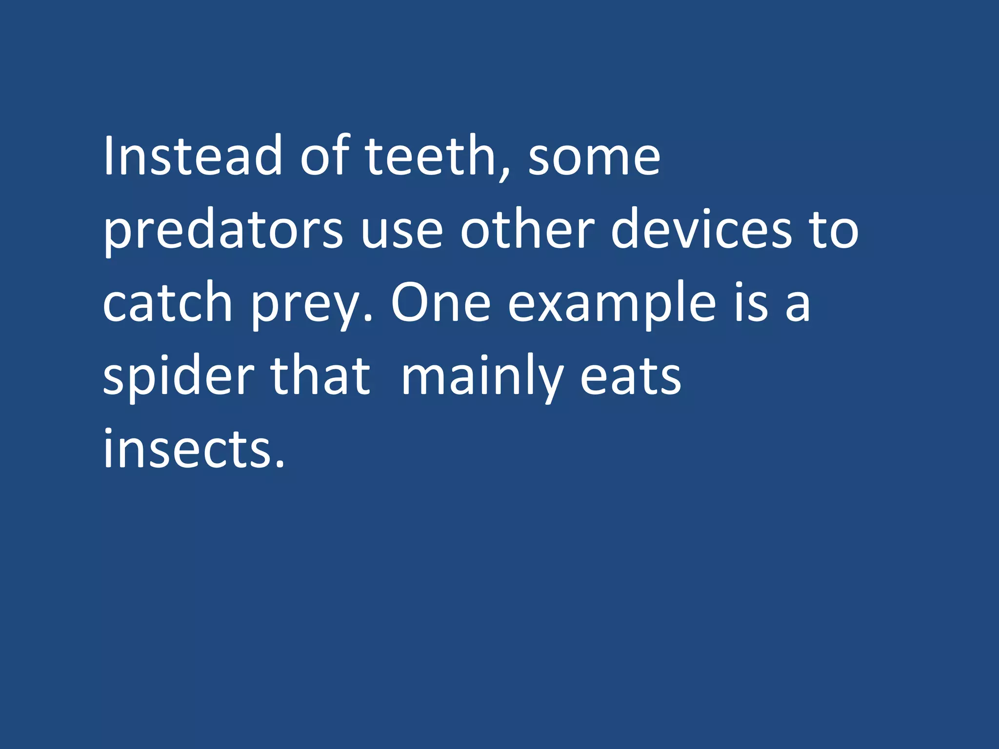 Instead of teeth, some predators use other devices to catch prey. One example is a spider that  mainly eats insects.  