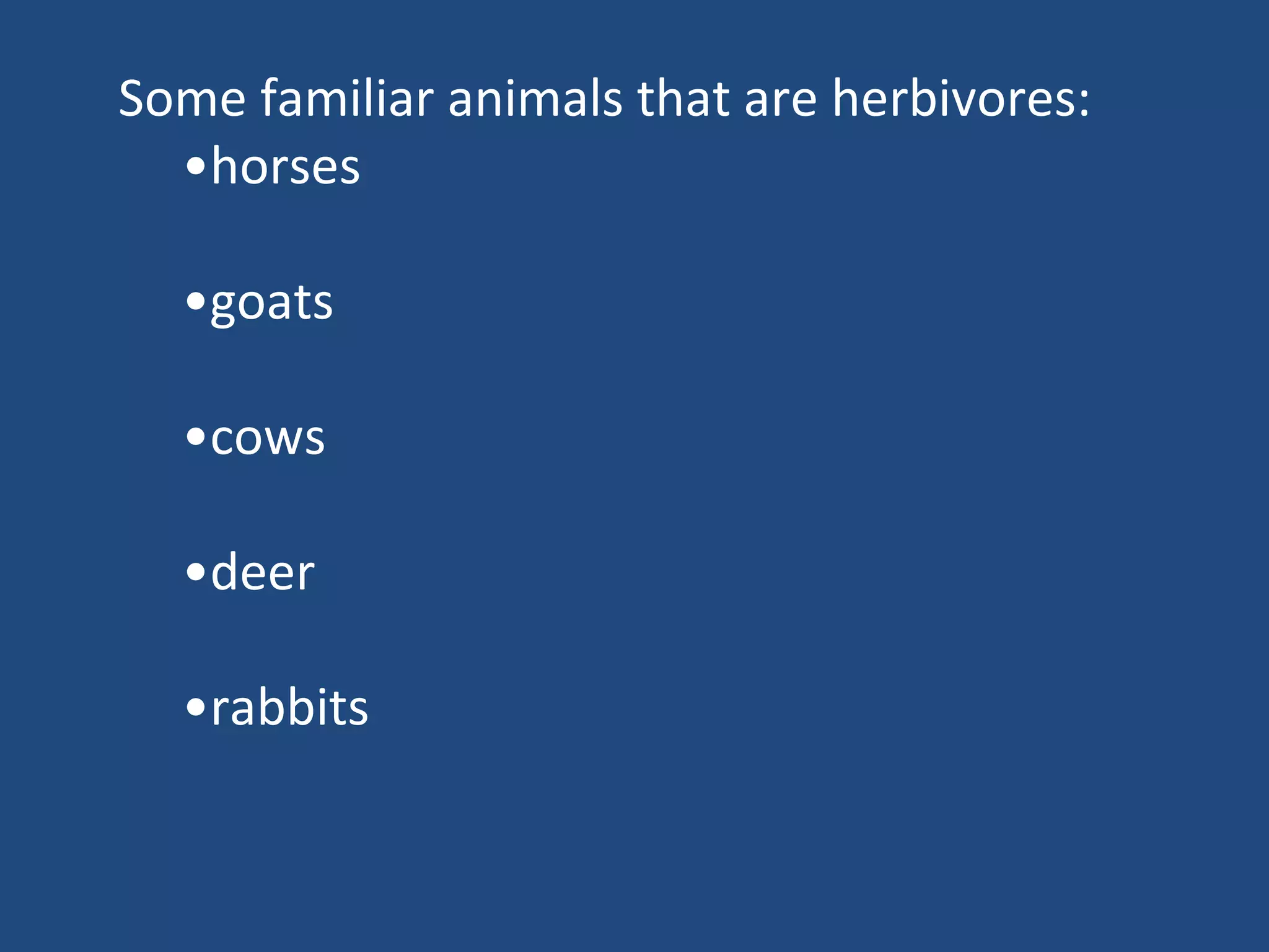 Some familiar animals that are herbivores: • horses • goats • cows • deer • rabbits 