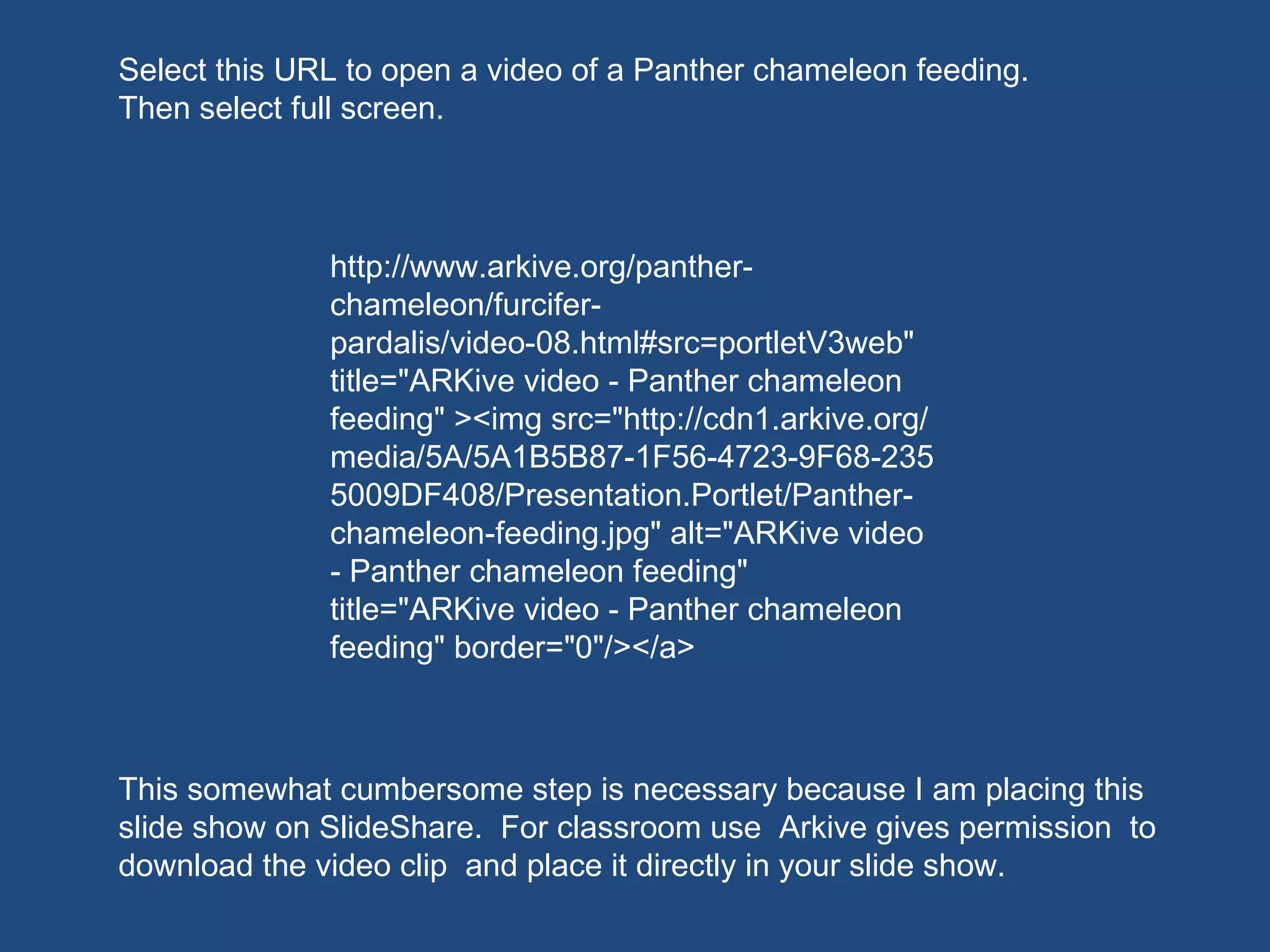 http://www.arkive.org/panther-chameleon/furcifer-pardalis/video-08.html#src=portletV3web" title="ARKive video - Panther chameleon feeding" ><img src="http://cdn1.arkive.org/media/5A/5A1B5B87-1F56-4723-9F68-2355009DF408/Presentation.Portlet/Panther-chameleon-feeding.jpg" alt="ARKive video - Panther chameleon feeding" title="ARKive video - Panther chameleon feeding" border="0"/></a> This somewhat cumbersome step is necessary because I am placing this slide show on SlideShare.  For classroom use  Arkive gives permission  to download the video clip  and place it directly in your slide show. Select this URL to open a video of a Panther chameleon feeding.  Then select full screen. 