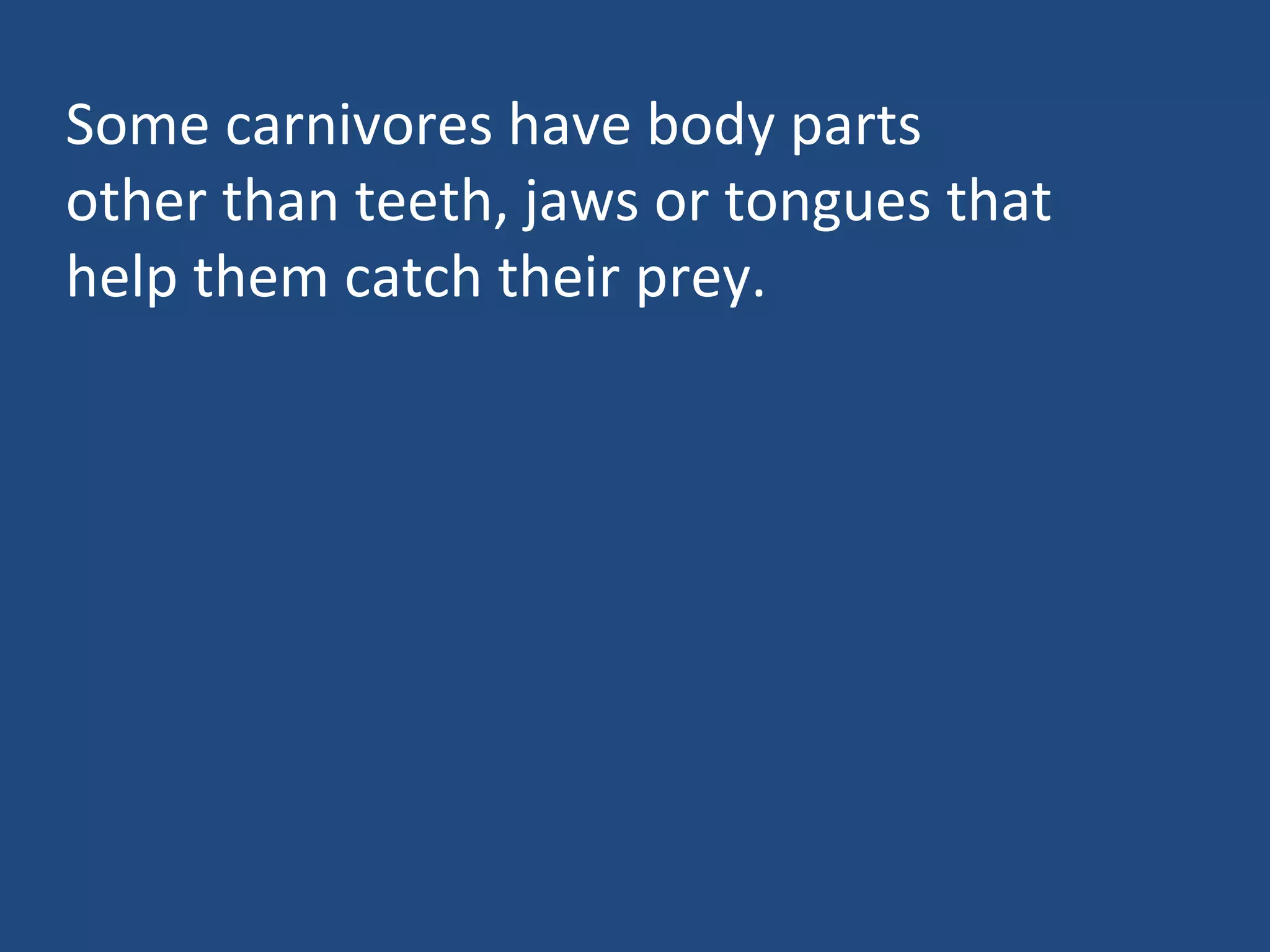 Some carnivores have body parts other than teeth, jaws or tongues that help them catch their prey. 