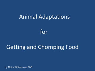 Animal Adaptations   for Getting and Chomping Food by Moira Whitehouse PhD 