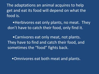 Adaptations for getting and chomping food (teach)