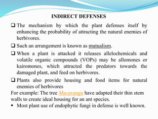 Morphological, Physiological and Anatomical Adaptations for Plant ...