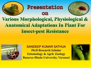 Ph.D Research Scholar
Entomology & Agril. Zoology
Banaras Hindu University, Varanasi
 