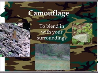 Camouflage
    To blend in
     with your
   surroundings




 Images courtesy of pics4learning.com
  and Microsoft Power Point Clip Art
 