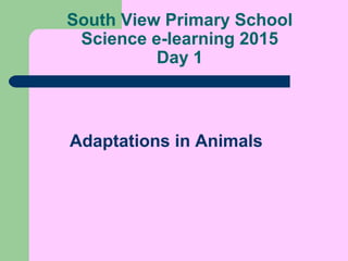 South View Primary School
Science e-learning 2015
Day 1
Adaptations in Animals
 