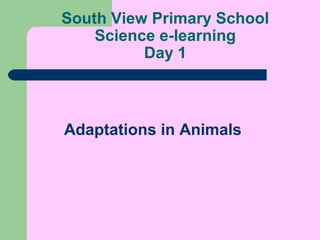 South View Primary School
Science e-learning
Day 1
Adaptations in Animals
 