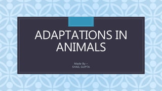 C
ADAPTATIONS IN
ANIMALS
Made By –
SHAIL GUPTA
 