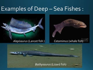 Deep-sea fish, Deep-sea, Adaptations, Pressure