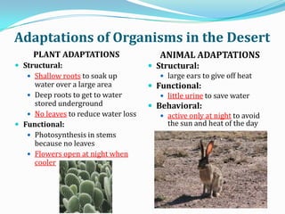 Adaptations in different biomes notes