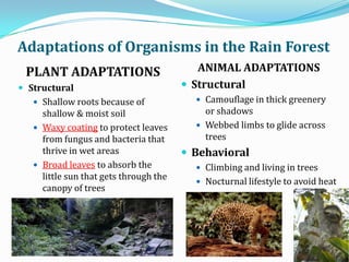 Adaptations in different biomes notes