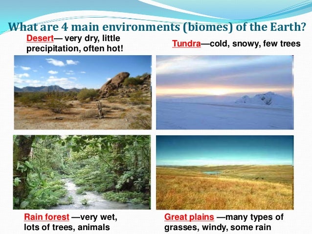 Natural Environments Vs All Natural Natural Environments Vs All Natural