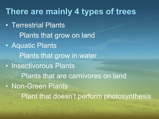 There are mainly 4 types of trees
• Terrestrial Plants
Plants that grow on land
• Aquatic Plants
Plants that grow in water
• Insectivorous Plants
Plants that are carnivores on land
• Non-Green Plants
Plant that doesn’t perform photosynthesis