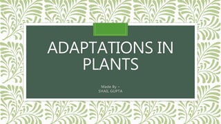 ADAPTATIONS IN
PLANTS
Made By –
SHAIL GUPTA
 