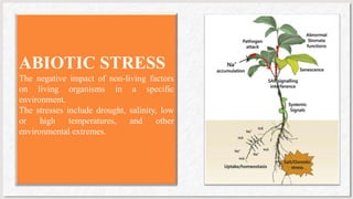 ABIOTIC STRESS
The negative impact of non-living factors
on living organisms in a specific
environment.
The stresses include drought, salinity, low
or high temperatures, and other
environmental extremes.
 
