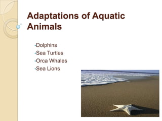 Adaptations of Aquatic Animals ,[object Object]