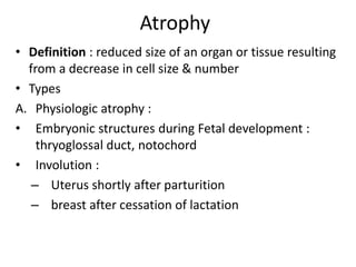 Adaptations of cellular growth and diffrentiation | PPTX