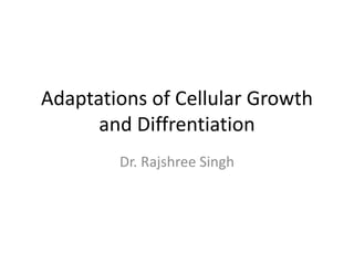 Adaptations of Cellular Growth
and Diffrentiation
Dr. Rajshree Singh
 