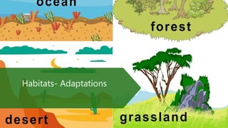 Habitats- Adaptations
 
