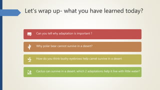 Let's wrap up- what you have learned today?
Can you tell why adaptation is important ?
Why polar bear cannot survive in a desert?
How do you think bushy eyebrows help camel survive in a desert
Cactus can survive in a desert, which 2 adaptations help it live with little water?
 