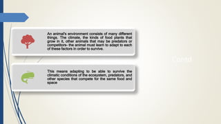 Contd
An animal's environment consists of many different
things. The climate, the kinds of food plants that
grow in it, other animals that may be predators or
competitors- the animal must learn to adapt to each
of these factors in order to survive.
This means adapting to be able to survive the
climatic conditions of the ecosystem, predators, and
other species that compete for the same food and
space
 