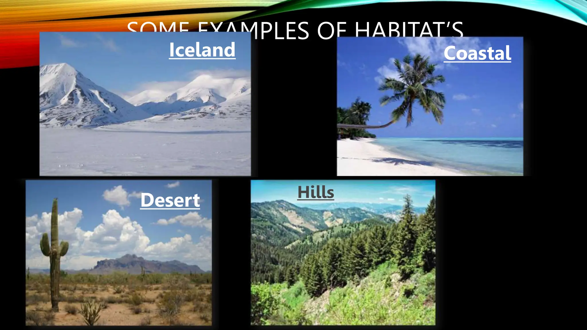 SOME EXAMPLES OF HABITAT’S
Desert
Iceland Coastal
Hills
 