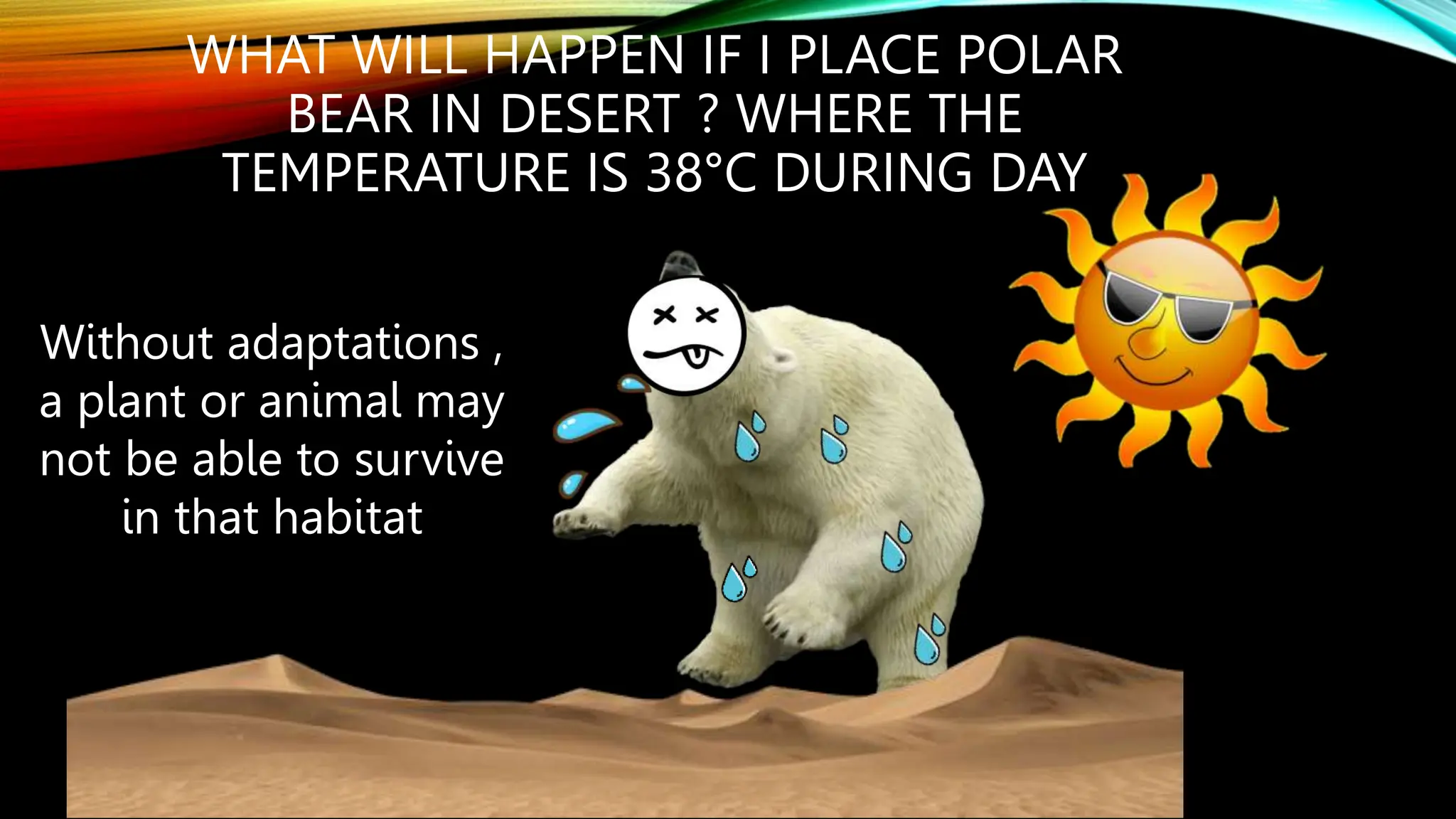 WHAT WILL HAPPEN IF I PLACE POLAR
BEAR IN DESERT ? WHERE THE
TEMPERATURE IS 38°C DURING DAY
Without adaptations ,
a plant or animal may
not be able to survive
in that habitat
 