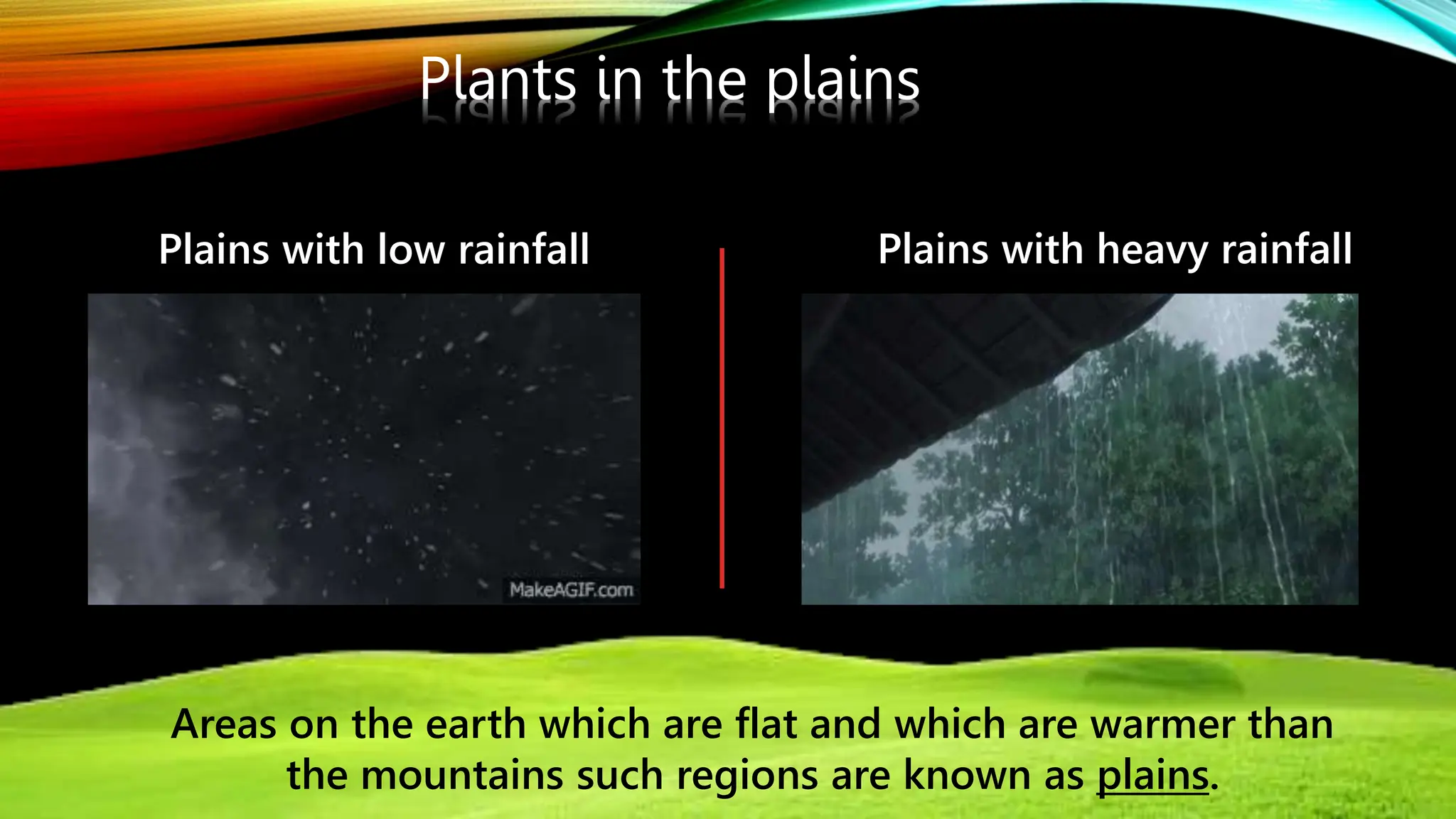 Plants in the plains
Areas on the earth which are flat and which are warmer than
the mountains such regions are known as plains.
Plains with low rainfall Plains with heavy rainfall
 