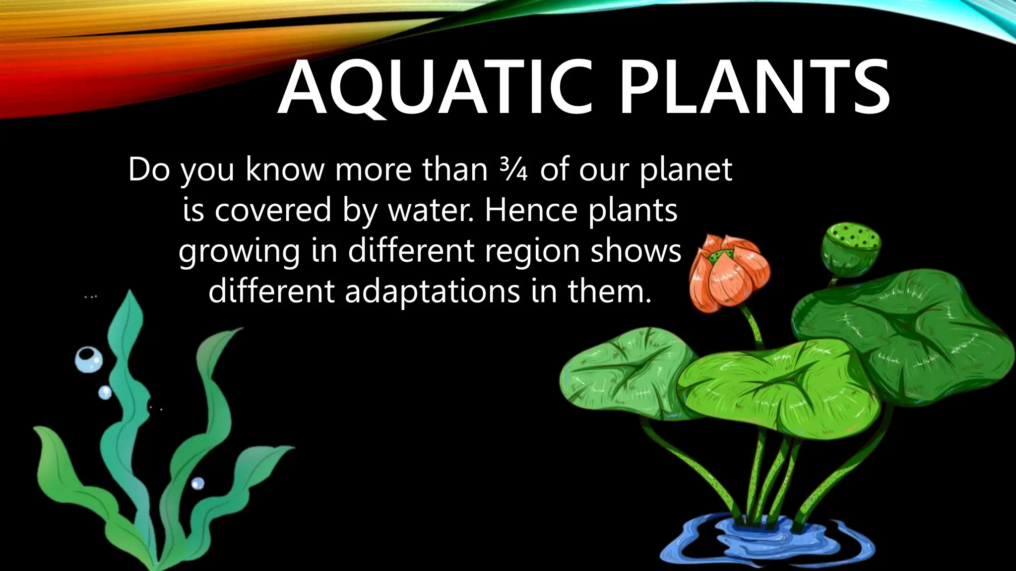 AQUATIC PLANTS
Do you know more than ¾ of our planet
is covered by water. Hence plants
growing in different region shows
different adaptations in them.
 