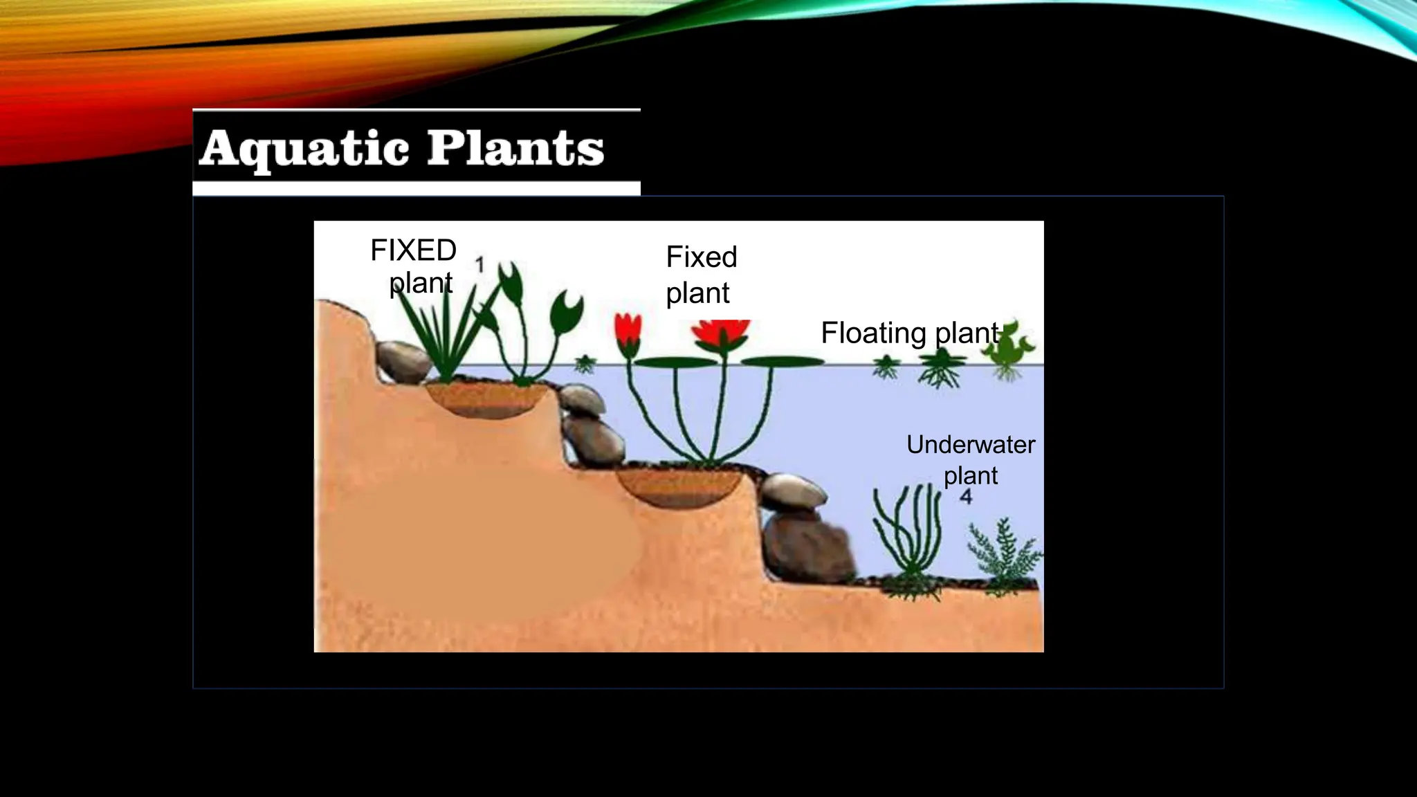 FIXED
plant
Fixed
plant
Floating plant
Underwater
plant
 