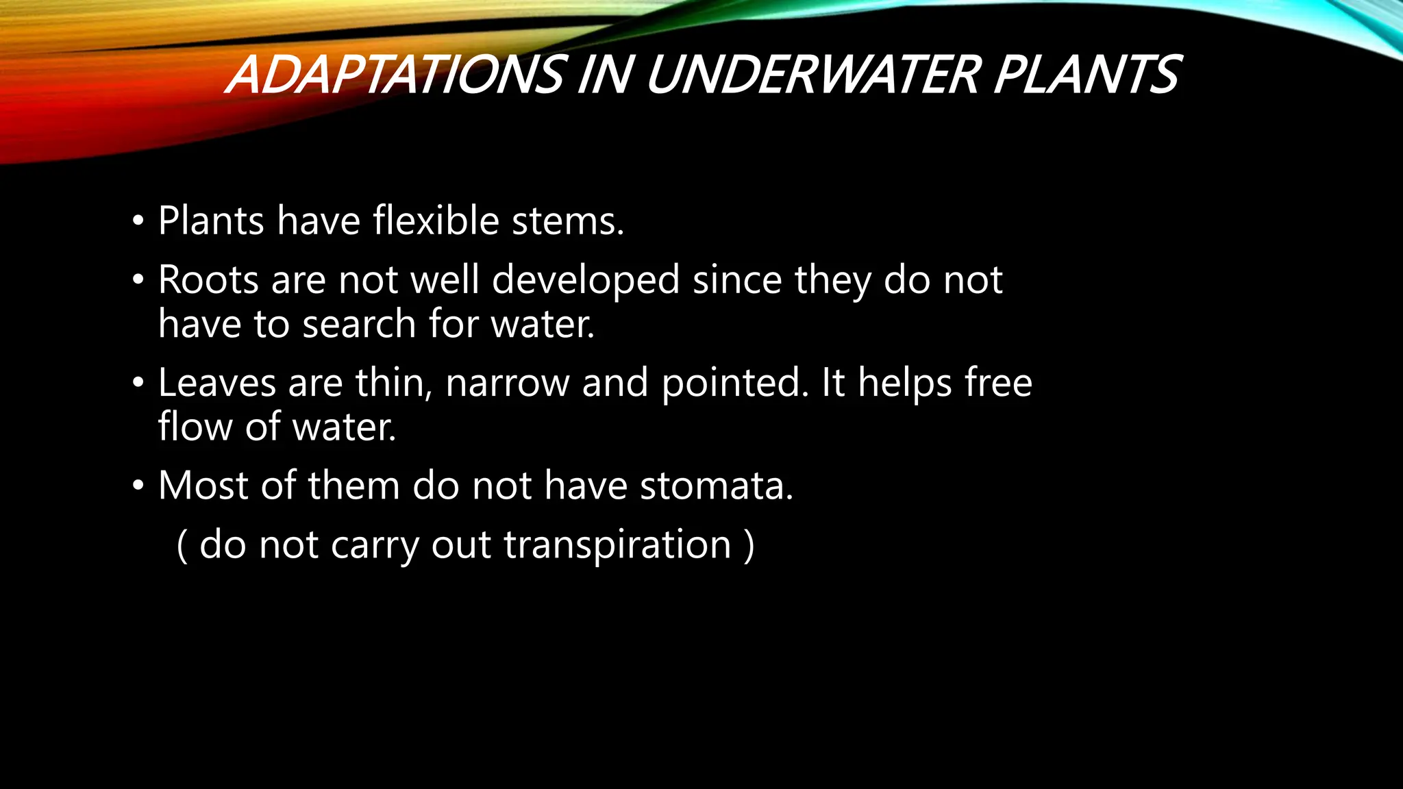 ADAPTATIONS IN UNDERWATER PLANTS
• Plants have flexible stems.
• Roots are not well developed since they do not
have to search for water.
• Leaves are thin, narrow and pointed. It helps free
flow of water.
• Most of them do not have stomata.
( do not carry out transpiration )
 