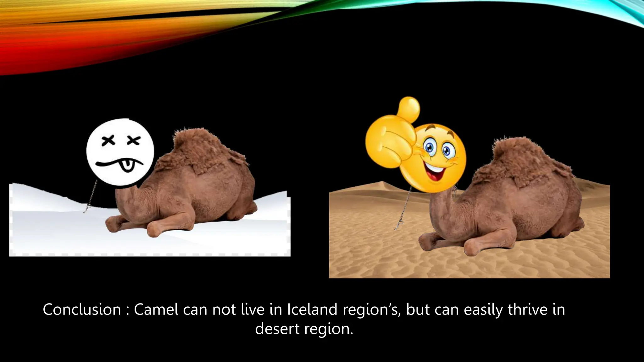 Conclusion : Camel can not live in Iceland region’s, but can easily thrive in
desert region.
 